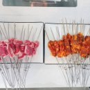 칭따오찐양꼬치