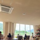 카페매너리 | 하동애견동반카페 카페매너리 하동가볼만한곳 내돈내산후기