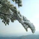 경북대학교 경영대학원 석사과정 특강 이미지