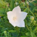 꽃보다부동산공인중개사사무소 이미지