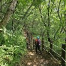 발이봉길 이미지