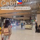 필리핀 세부 전자 입국신고서 이트래블 어플 작성방법 심사 소요시간