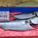 탱이수산