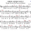 콘티 티스토리