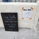 디어터틀(dear turtle) 이미지