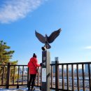 응봉역(경의중앙선) | 서울 응봉산 새해 일출 해돋이 축제