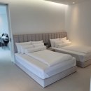 스타스케이프 이미지