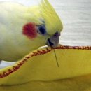 바느질세상 이미지