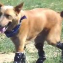 (주)견공 이미지