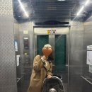 이소영동물병원 이미지