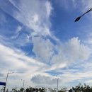 CU 시흥복음자리점 | 시흥 거북섬 거리 연휴 가족 여행 데이트 코스 추천