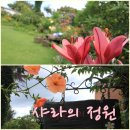 샤라의정원 펜션 | 제주시맛집 아름다운 꽃이 가득한 샤라의 정원