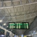 스테이 다연 이미지