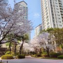 사구팔구공인중개사사무소 | [공지] 광교 자연앤 힐스테이트 전세시세&lt;2024.04.4째 주&gt;-광교 더 힐스