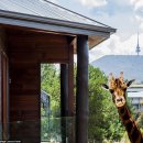 캔버라호텔 옆 이미지