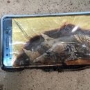 제기28 이미지