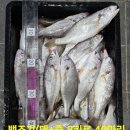 임여사수산 이미지