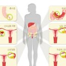 밥먹고 배아픔 효능 및 증상 배아플때 복통 원인 정리 이미지