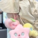 돌담할망보말톳칼국수 이미지