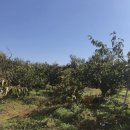 창원제2농장 이미지