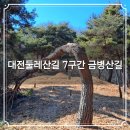 대전둘레산길(7구간) | 대둘 대전둘레산길 7구간 금병산길