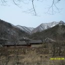 조령1 Daum카페