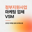 브이에스엠 | 정부지원사업 마케팅 업체 전략적인 브이에스엠그룹