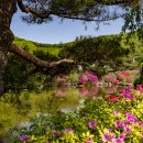 김포 다도박물관 이미지