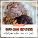 경주 용황 메가커피 메뉴추천 팥빙젤라또파르페 솔직후기