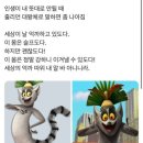 마움 이미지