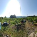 치상농장 이미지