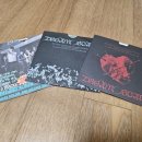 쑈 멀티방 이미지