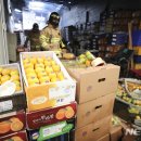 청량리청과물시장 이미지