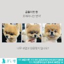 윤스피부미용
