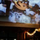 (주)앤틱카페 이미지