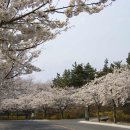 한전사택 이미지