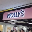 (주)지토 | [공지] [용인] 몰리스(Molly's)에서 지토 옷 쇼핑 &amp; 피팅 후기 🐾 (a.k.a 작년 여름휴가 준비로 방문)