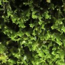 생명예찬1 이미지