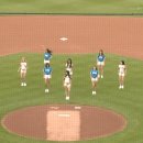 KBO 삼성-롯데 클래식 시리즈 치어리더 합동 공연.gif 이미지