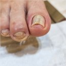 네일다움 이미지