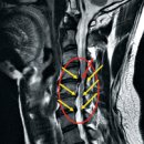 최마취통증의학과의원 이미지