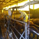 동면행정복지센터 이미지