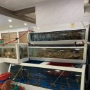 장땡으로가는길 이미지