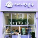 라라펫살롱 이미지