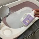 (주)리젠소프트 | 올바른 강아지 목욕법을 통한 강아지 털관리 (feat. 일산메가주 리뷰...?)