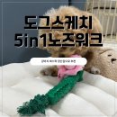 도그스케치 | 강아지 노즈워크 장난감 추천 도그스케치 강아지 바스락 장난감 후기