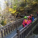 목감농장 이미지