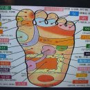 건강 셀프 발 마사지 이미지