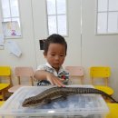 여우소풍 이미지