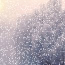 뱅쿠버여관 이미지